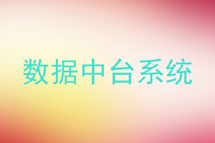 数据中台系统