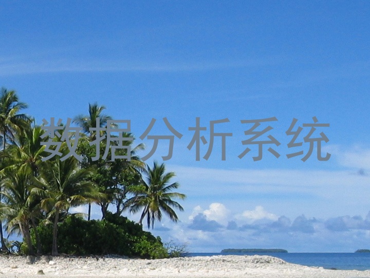 数据分析系统