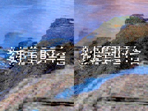 数据管理平台