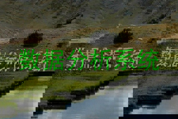 数据分析系统