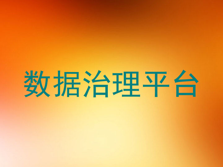 数据治理平台