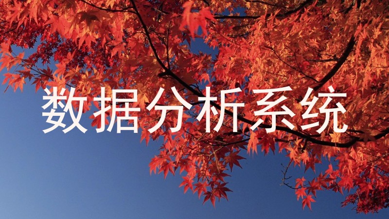 数据分析系统