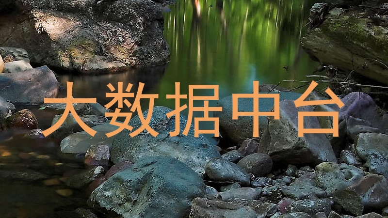 大数据中台