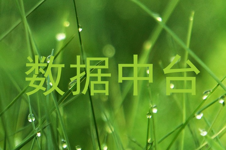 数据中台