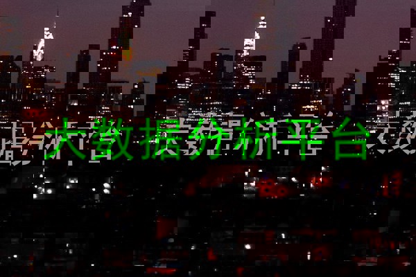 大数据分析平台