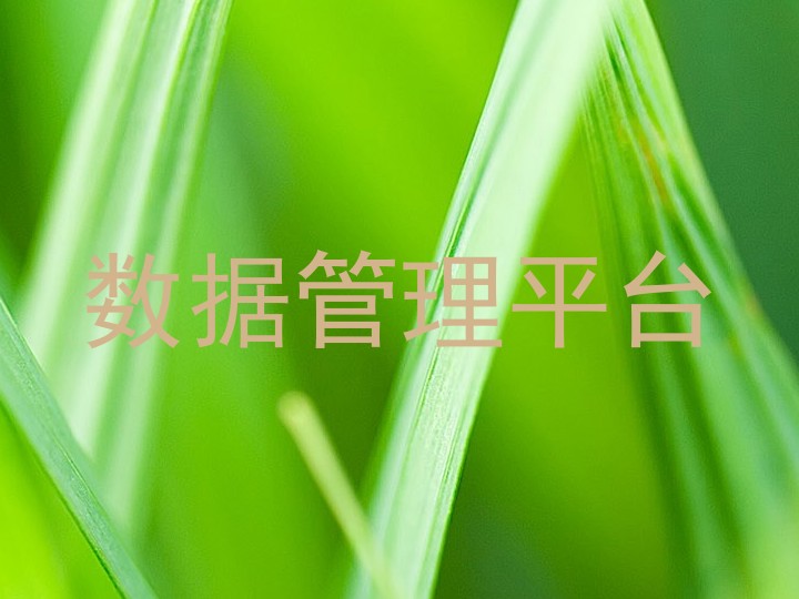 数据管理平台