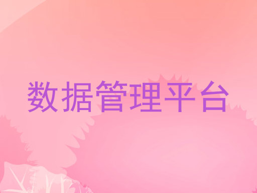 数据管理平台