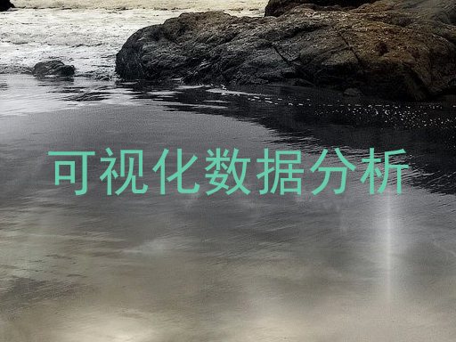 可视化数据分析