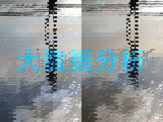 大数据分析