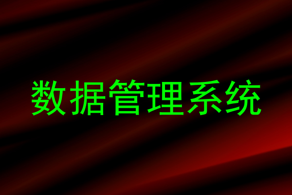 数据管理系统