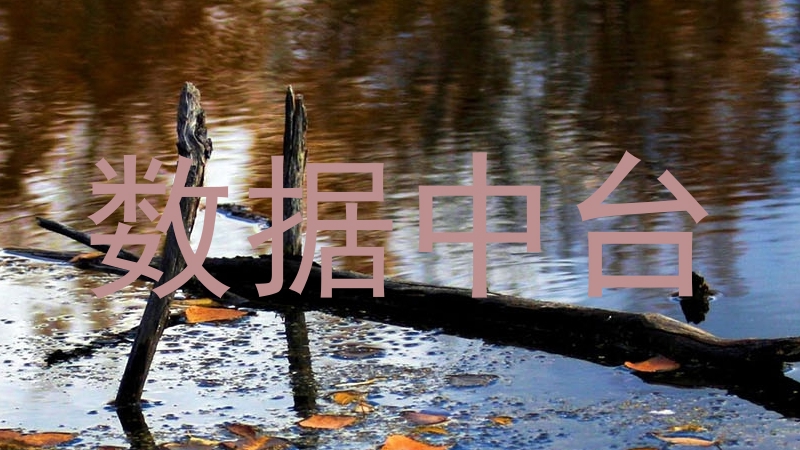 数据中台