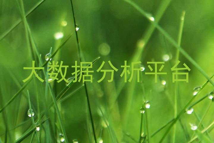 大数据分析平台