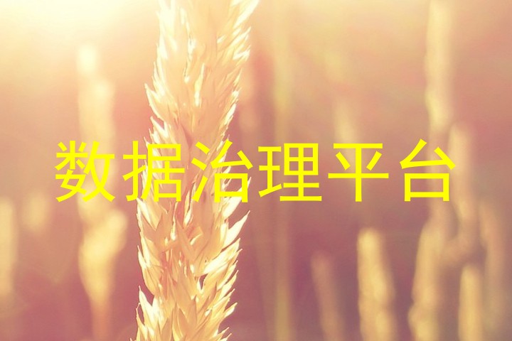 数据治理平台