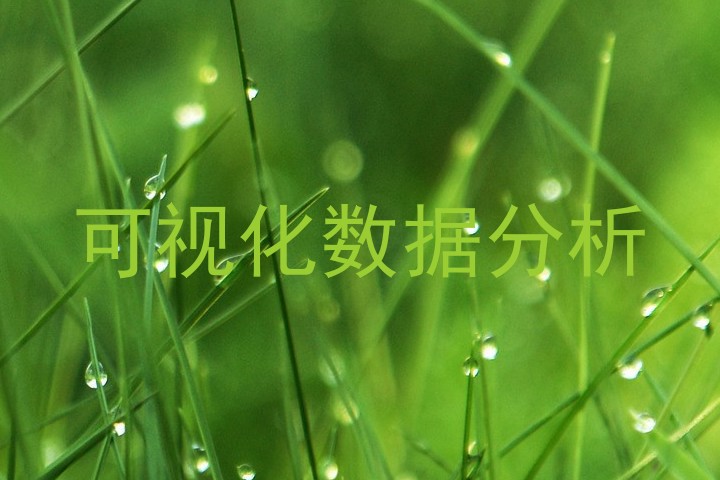 可视化数据分析