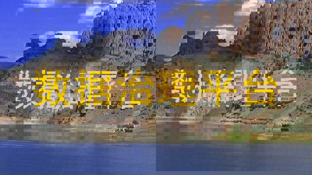 数据治理平台