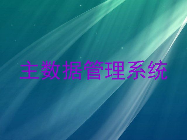 主数据管理系统