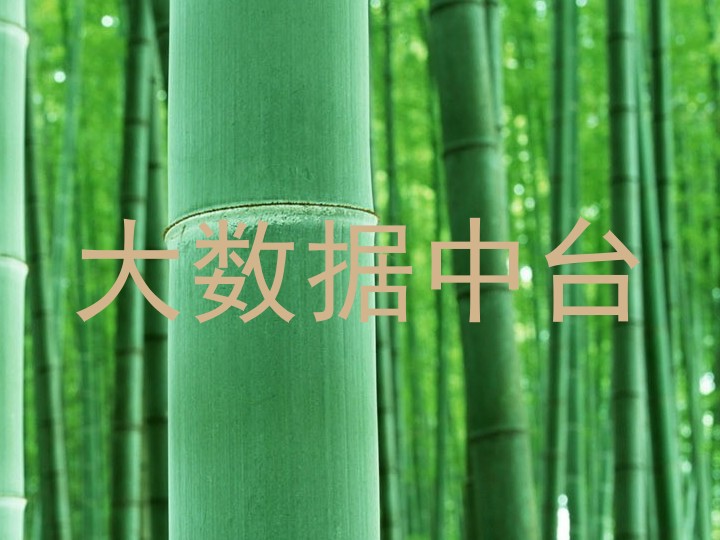 大数据中台