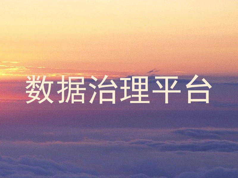 数据治理平台