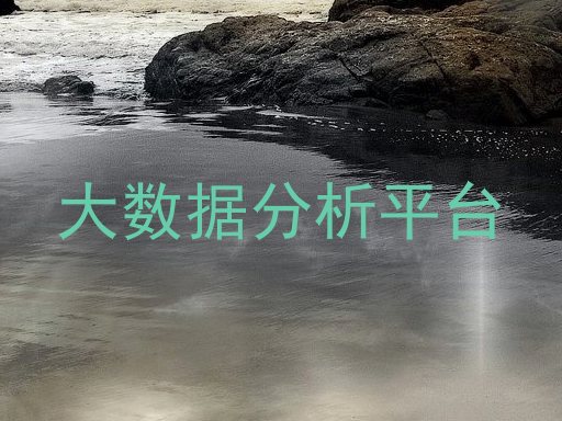 大数据分析平台