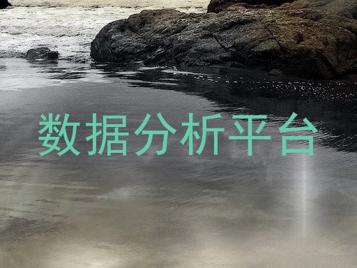 数据分析平台
