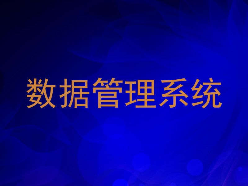 数据管理系统