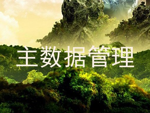 主数据管理