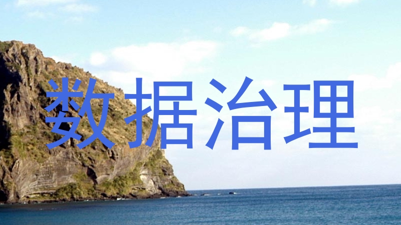 数据治理