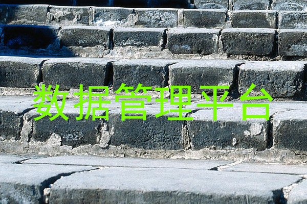 数据管理平台