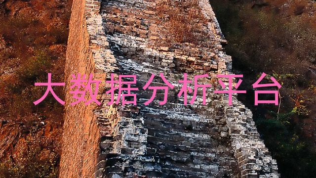 大数据分析平台