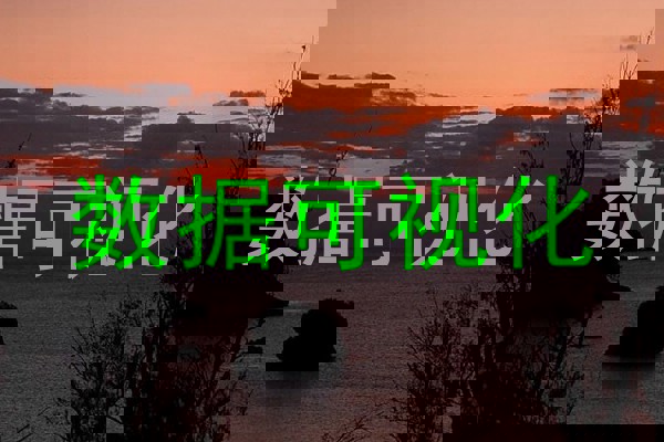 数据可视化