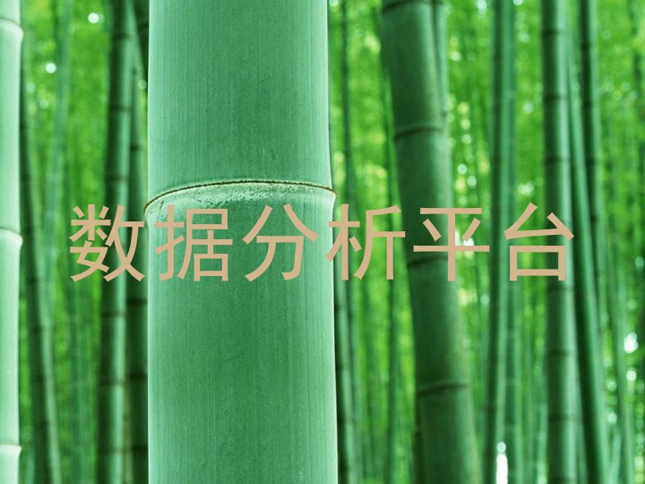 数据分析平台