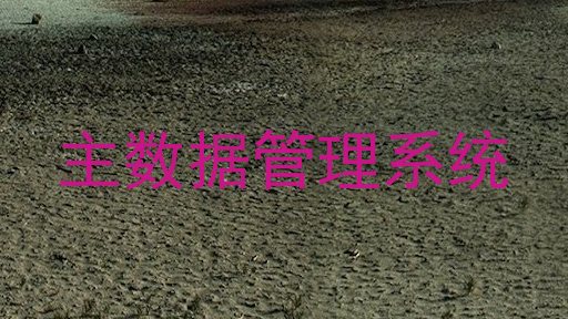 主数据管理系统