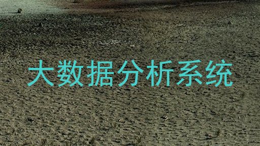 大数据分析系统