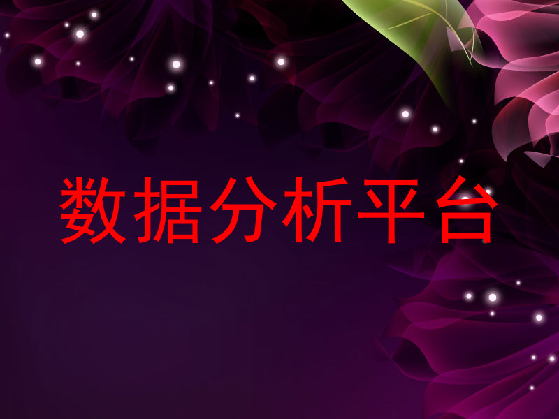 数据分析平台