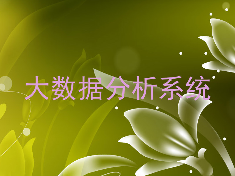 大数据分析系统