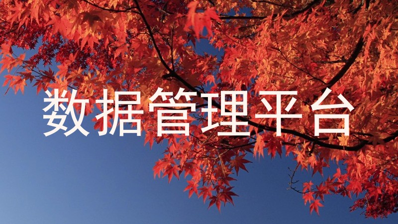 数据管理平台