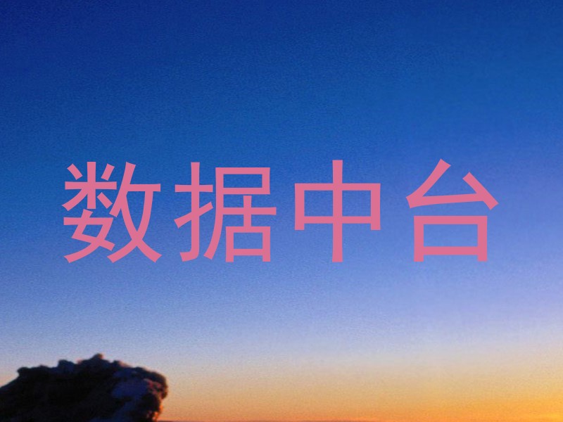 数据中台