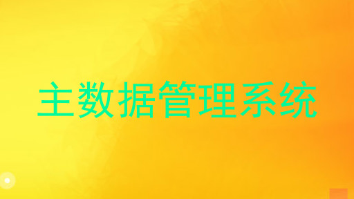 主数据管理系统