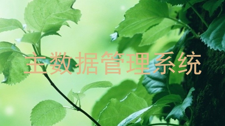 主数据管理系统