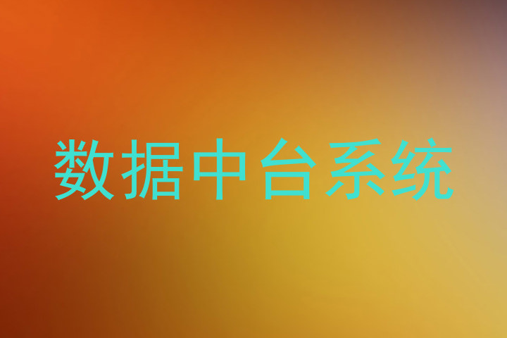 数据中台系统