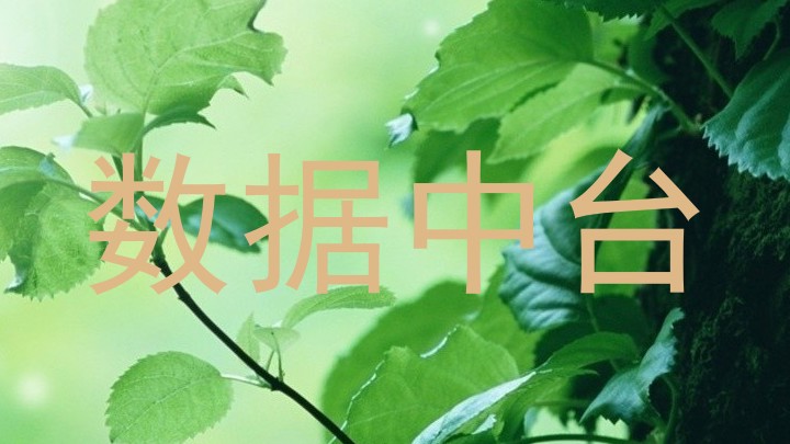 数据中台