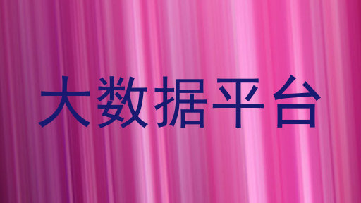 大数据平台