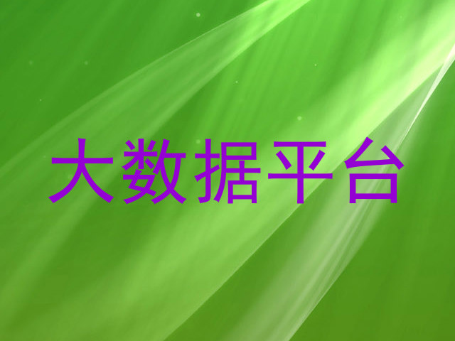 大数据平台