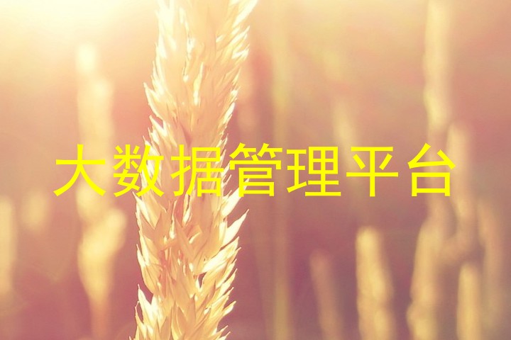 大数据管理平台