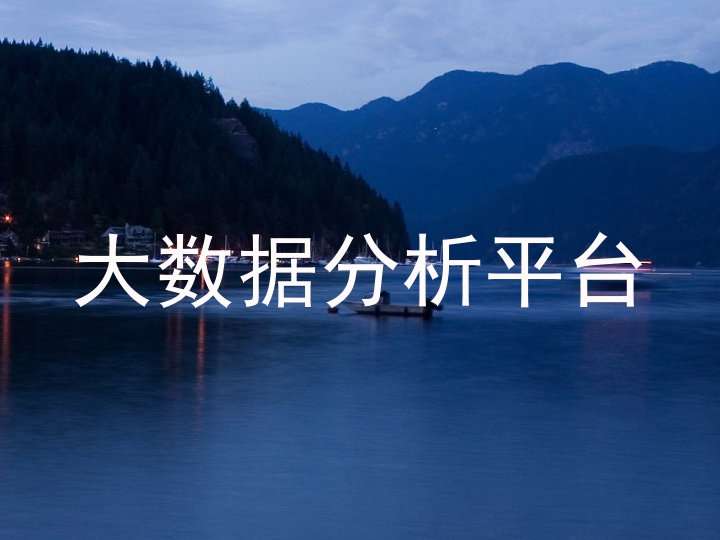 大数据分析平台
