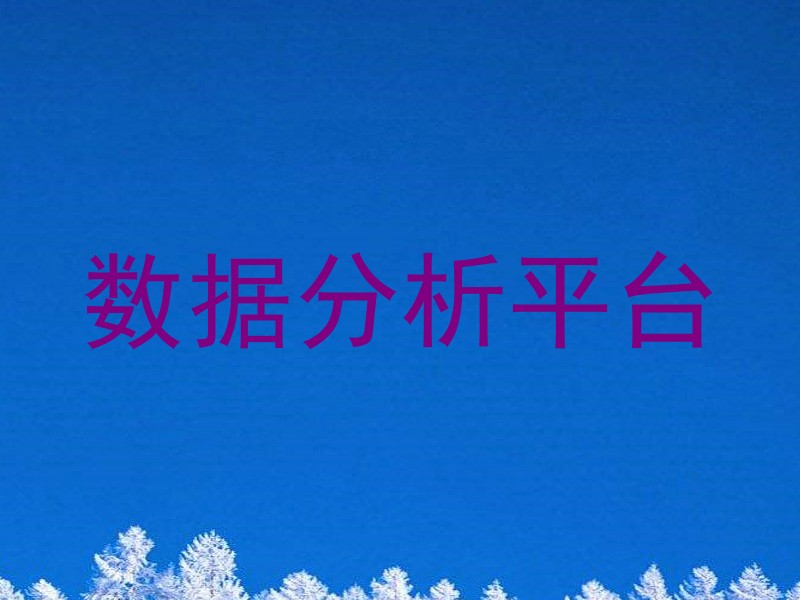数据分析平台