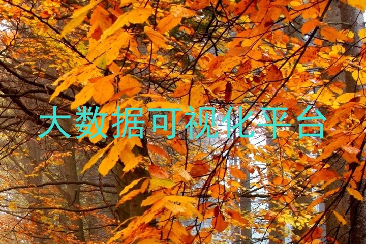 大数据可视化平台
