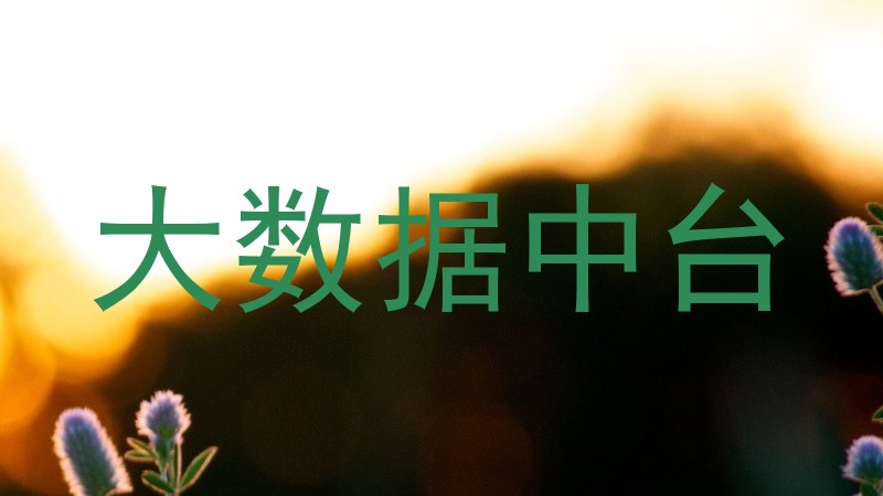大数据中台