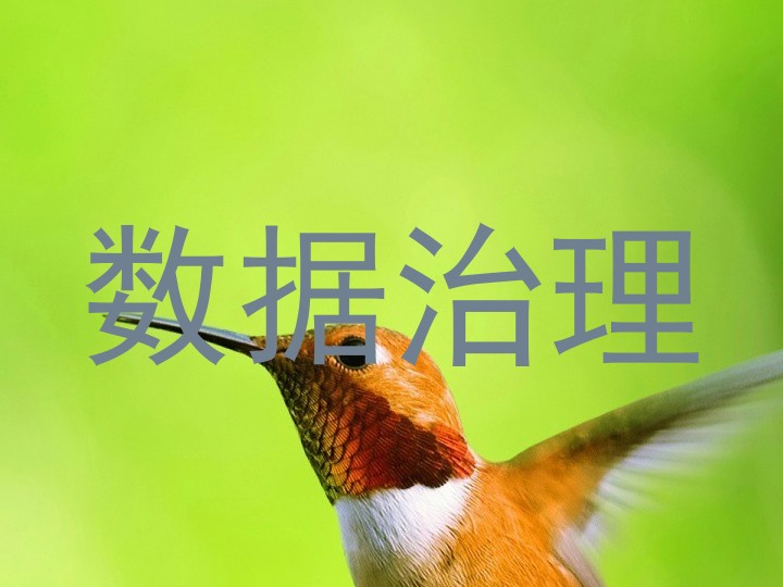 数据治理