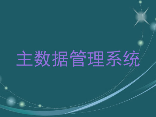 主数据管理系统